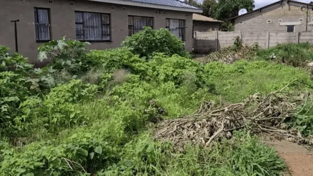 Residential Stand for Sale