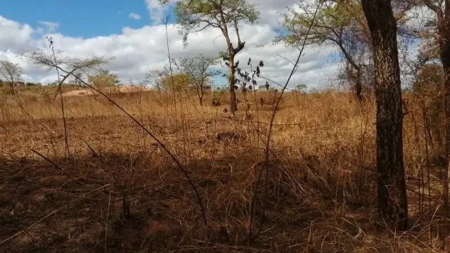 Residential Stand for Sale