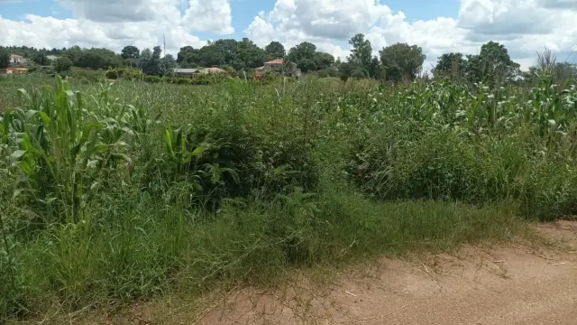 Residential Stand for Sale