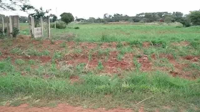 Commercial Stand for Sale