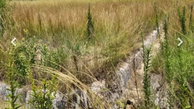 Residential Stand for Sale