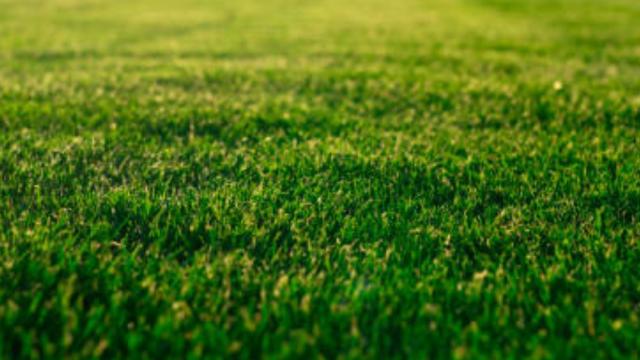 Stand for Sale in Ruwa