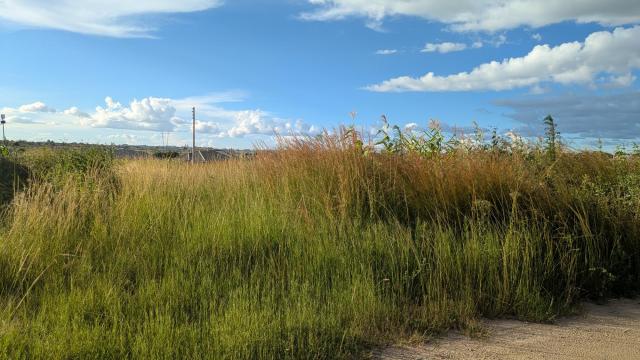 Stand for Sale in Ruwa