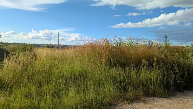 Residential Stand for Sale in Ruwa