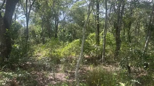 Residential Stand for Sale