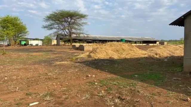 Farm/Plot for Sale in Victoria Falls