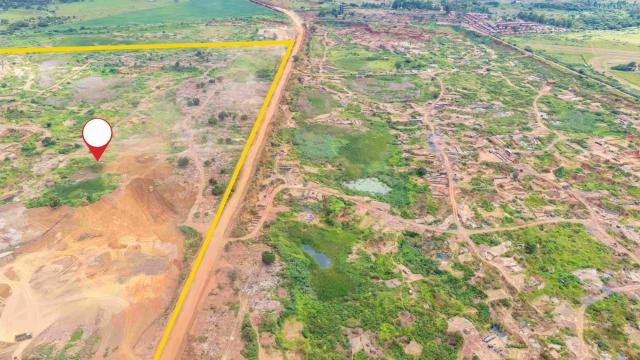 Stand for Sale in Mount Hampden