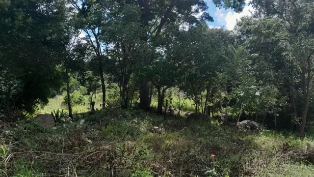 Residential Stand for Sale