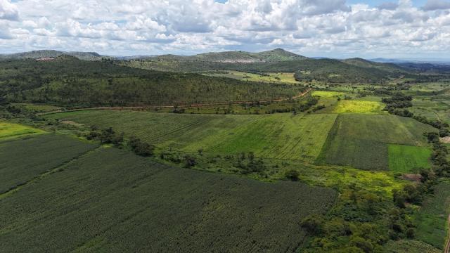 Stand for Sale in Mazowe