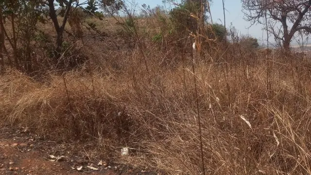 Residential Stand for Sale