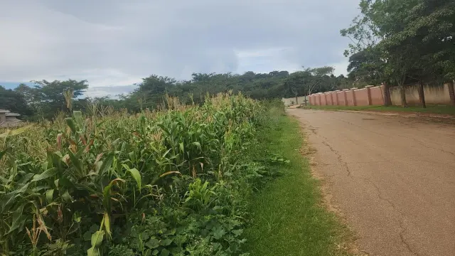 Residential Stand for Sale