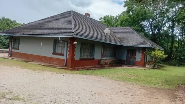 Commercial Stand for Sale