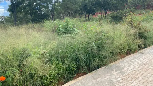 Residential Stand for Sale