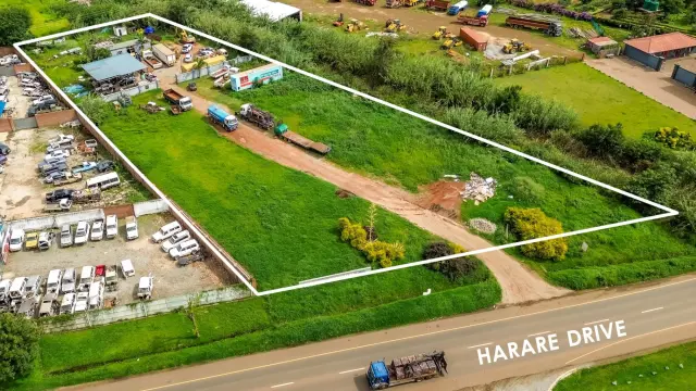 Commercial Stand for Sale