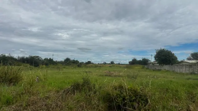 Residential Stand for Sale