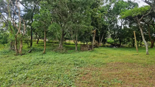 Residential Stand for Sale in Glen Lorne