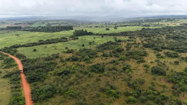 Farm/Plot for Sale in Chipinge