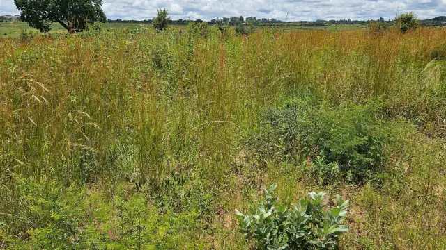 Residential Stand for Sale