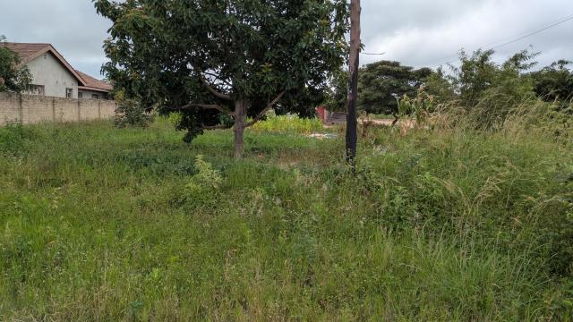 Stand for Sale in Ruwa