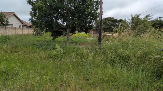 Residential Stand for Sale in Ruwa