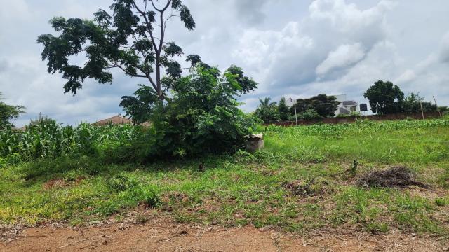 Stand for Sale in Mount Pleasant Heights