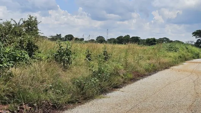 Residential Stand for Sale in Norton