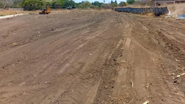 Residential Stand for Sale in Quinnington