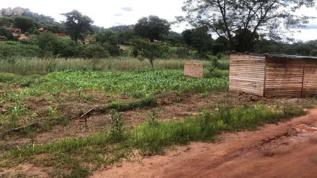 Residential Stand for Sale