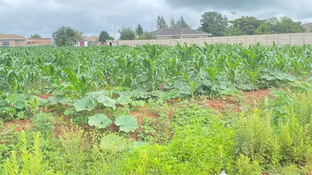 Residential Stand for Sale