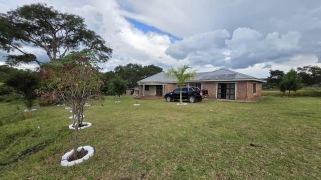 Stand for Sale in Arcturus