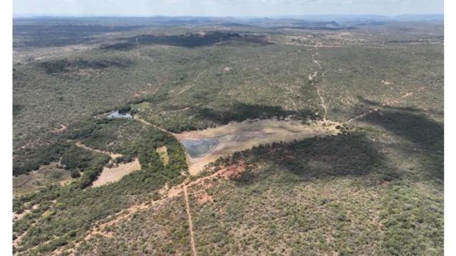 Stand for Sale in Willsgrove