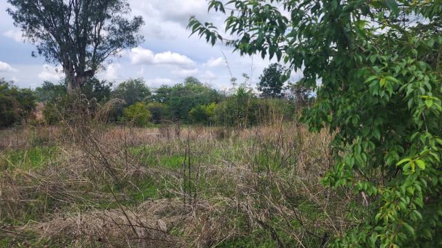 Stand for Sale in Beatrice