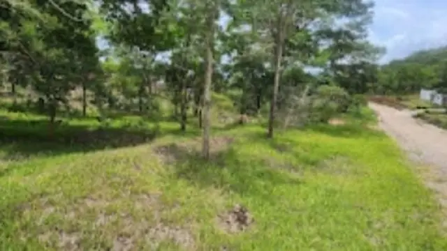 Residential Stand for Sale