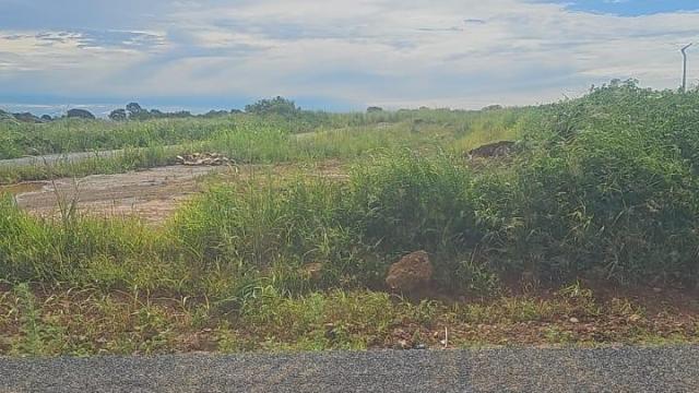 Stand for Sale in Pomona