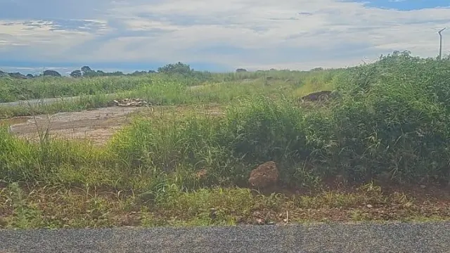 Residential Stand for Sale in Pomona