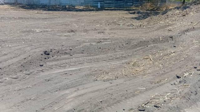 Stand for Sale in Quinnington