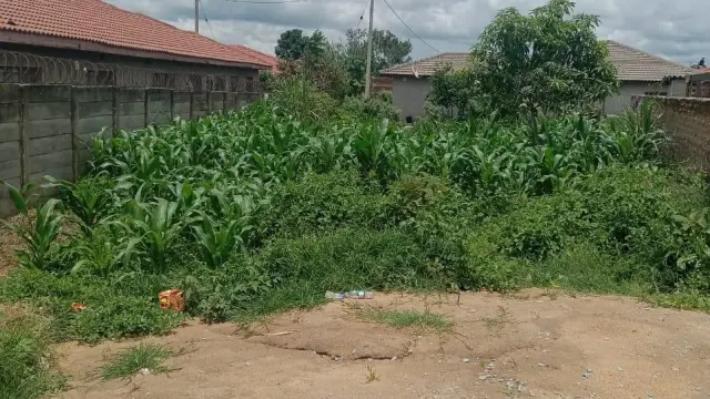 Residential Stand for Sale