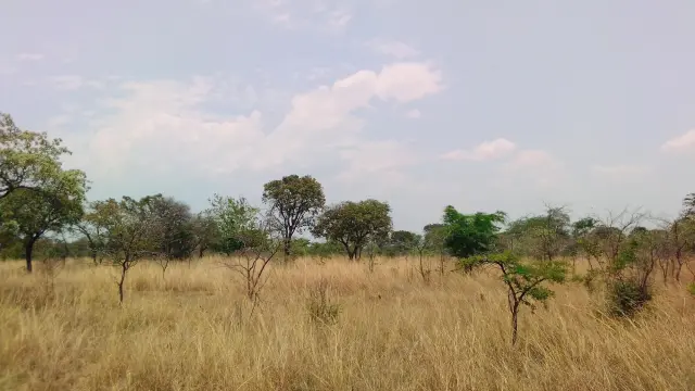 Commercial Stand for Sale