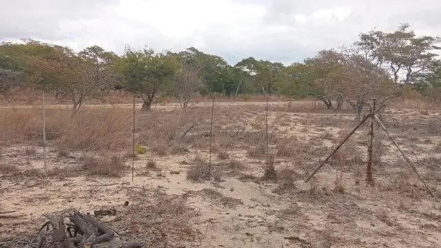 Residential Stand for Sale in Mvuma