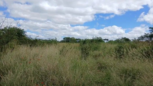 Residential Stand for Sale