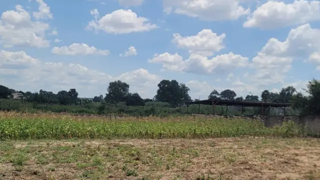 Warehouse/Industrial for Sale