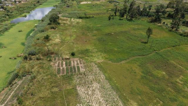 Stand for Sale in Stoneridge