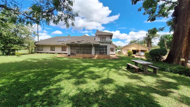 Stand for Sale in Marlborough