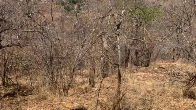 Residential Stand for Sale in Kariba