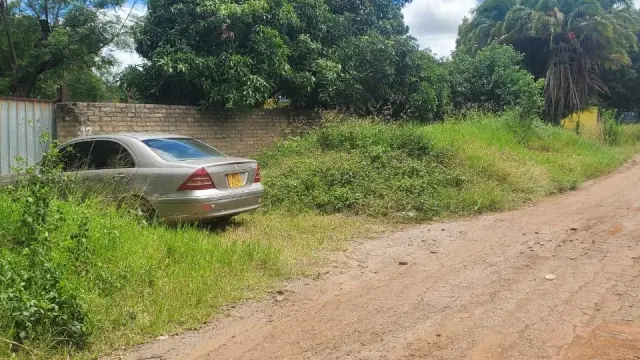 Commercial Stand for Sale