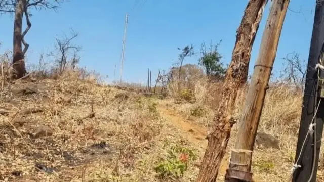 Commercial Stand for Sale in Glen Forest