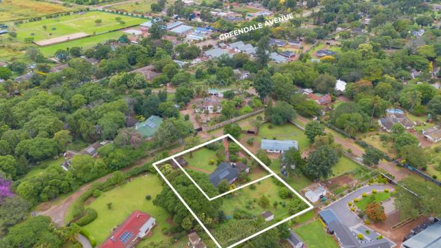 Stand for Sale in Greendale