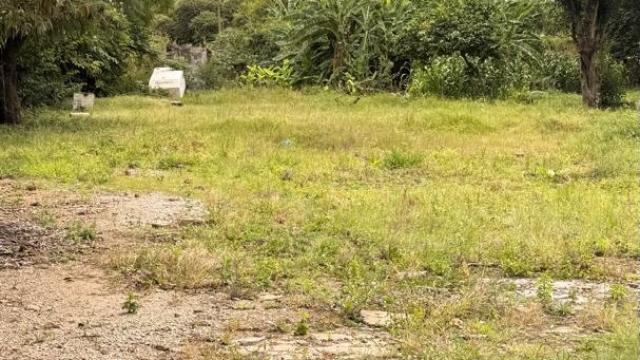 Stand for Sale in Avondale