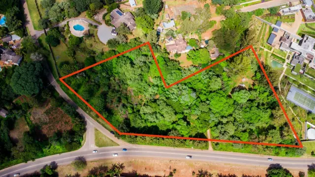 Commercial Stand for Sale