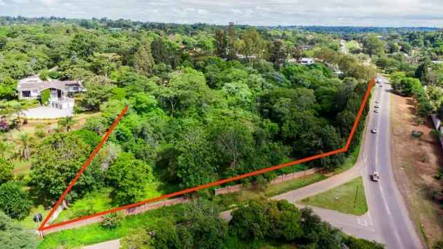 Commercial Stand for Sale